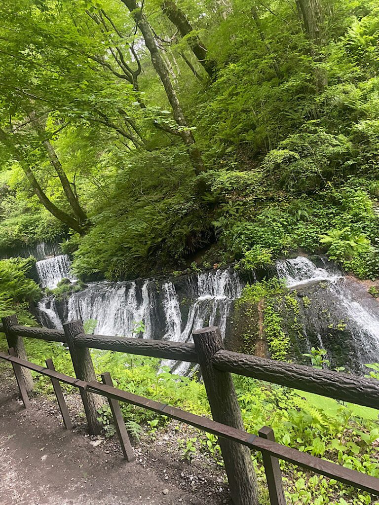 白糸の滝の道中（３）
